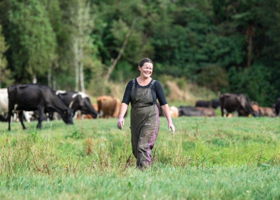 farmer walkin in paddock with cows in background
